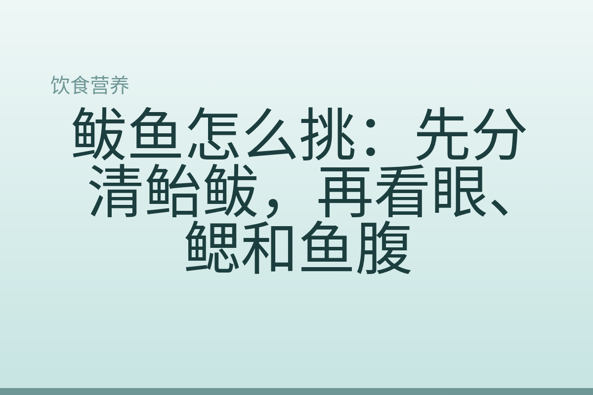 鲅鱼怎么挑:先分清鲐鲅,再看眼、鳃和鱼腹
