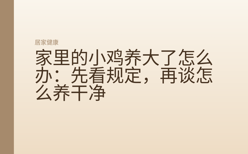 家里的小鸡养大了怎么办：先看规定，再谈怎么养干净