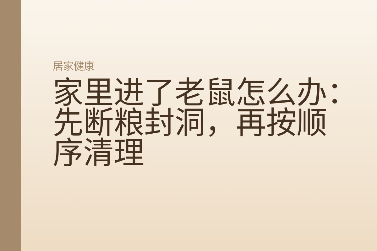 家里进了老鼠怎么办:先断粮封洞,再按顺序清理