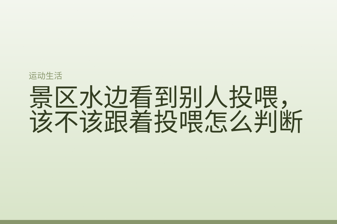 景区水边看到别人投喂，该不该跟着投喂怎么判断