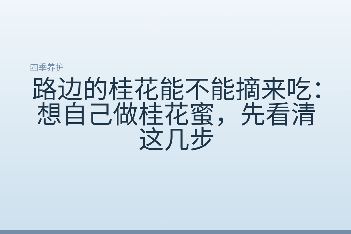 路边的桂花能不能摘来吃:想自己做桂花蜜,先看清这几步