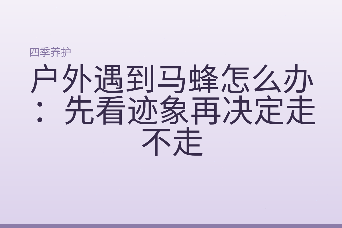户外遇到马蜂怎么办：先看迹象再决定走不走