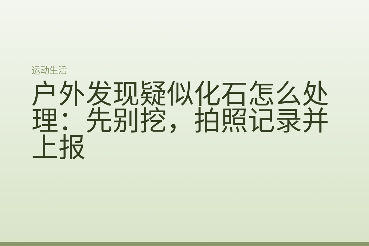 户外发现疑似化石怎么处理：先别挖，拍照记录并上报