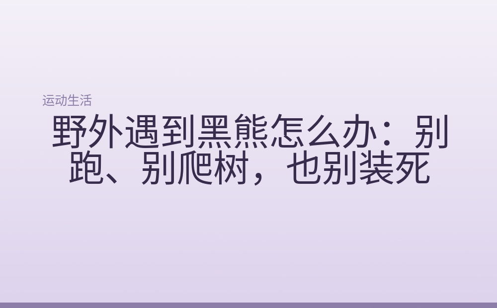 野外遇到黑熊怎么办:别跑、别爬树,也别装死