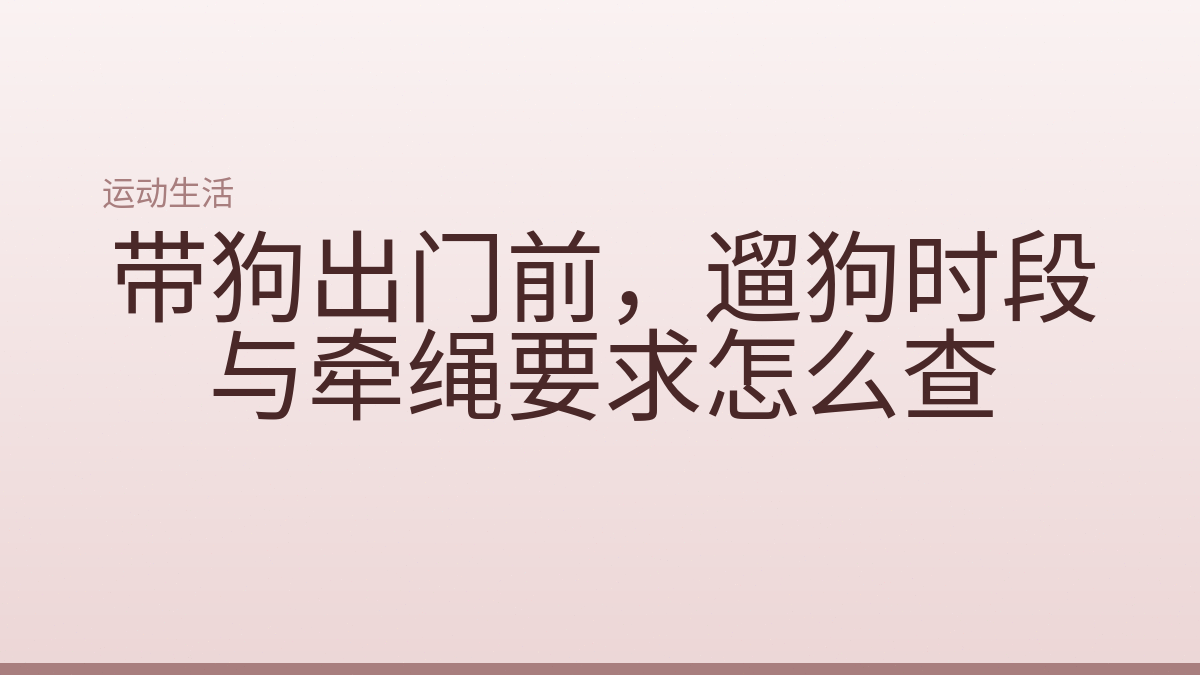 带狗出门前，遛狗时段与牵绳要求怎么查