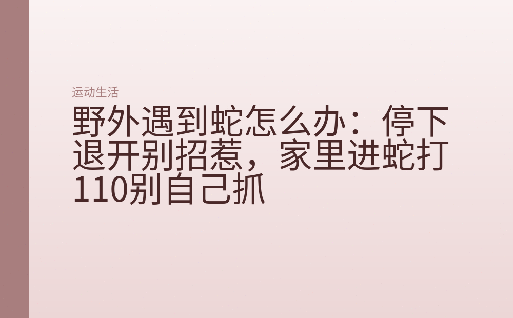 野外遇到蛇怎么办:停下退开别招惹,家里进蛇打110别自己抓