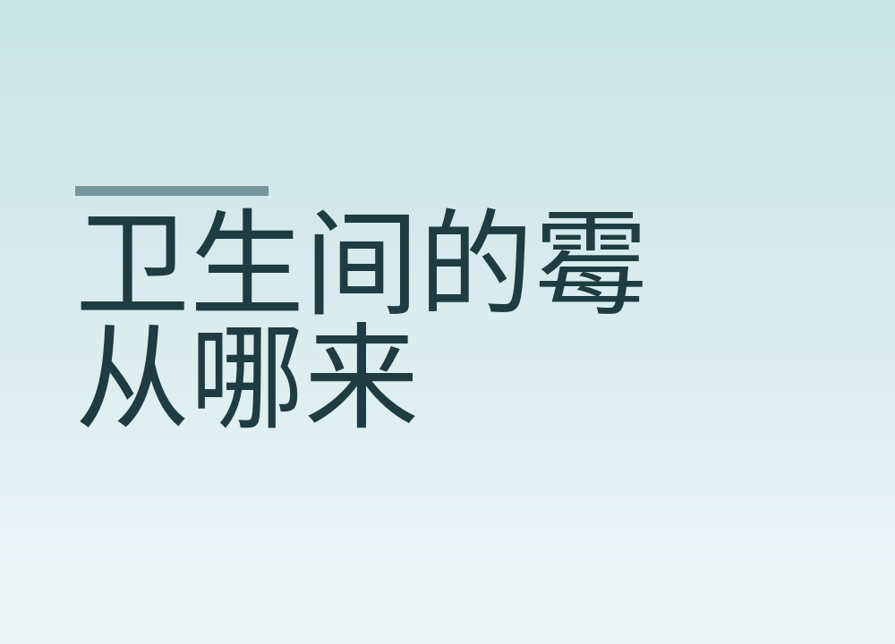 卫生间的霉从哪来：通风、积水与检查点