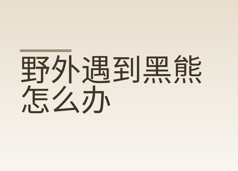 野外遇到黑熊怎么办:别跑、别爬树,也别装死