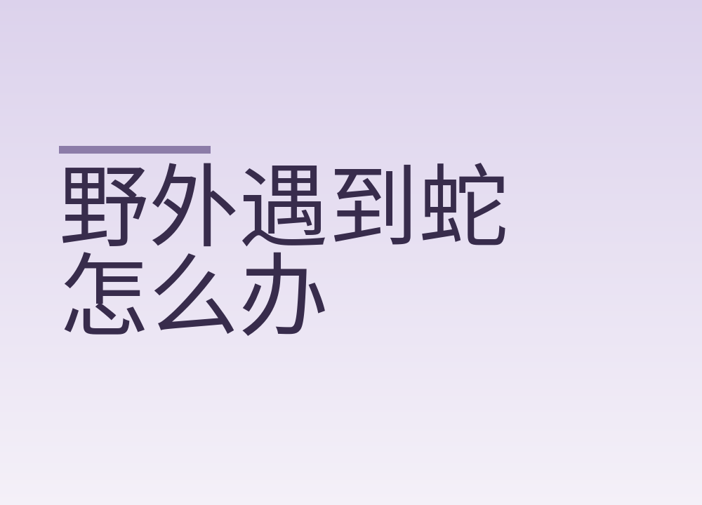 野外遇到蛇怎么办:停下退开别招惹,家里进蛇打110别自己抓